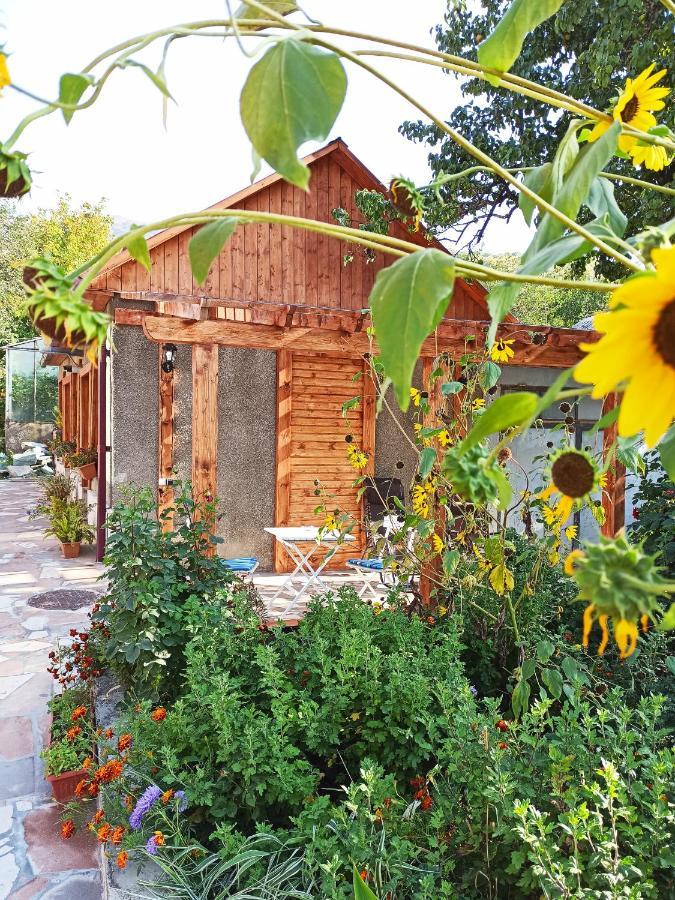 Jermatun Guest House Dilijan Eksteriør billede